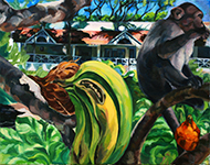 Monkey in Bangalore 2013