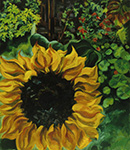 Sunflower 1996